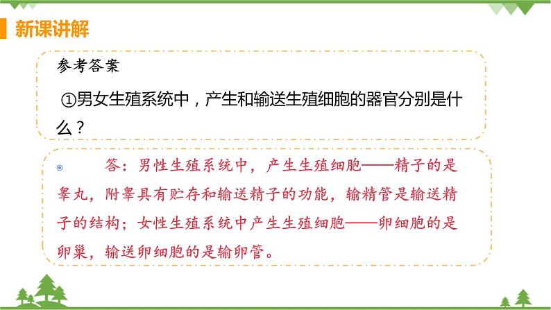 4.1.2  《人的生殖 》课件+教案+预习作业（含答案）+教材习题+习题课件08