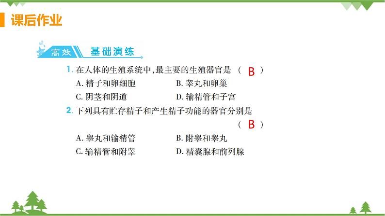 4.1.2  《人的生殖 》课件+教案+预习作业（含答案）+教材习题+习题课件02