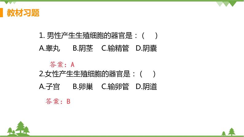 4.1.2  《人的生殖 》课件+教案+预习作业（含答案）+教材习题+习题课件02