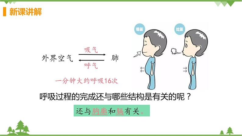 4.3.2  《发生在肺内的气体交换》课件+教案+预习作业（含答案）+教材习题+习题课件06