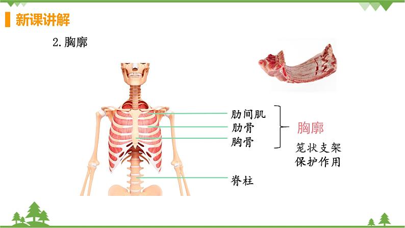 4.3.2  《发生在肺内的气体交换》课件+教案+预习作业（含答案）+教材习题+习题课件07