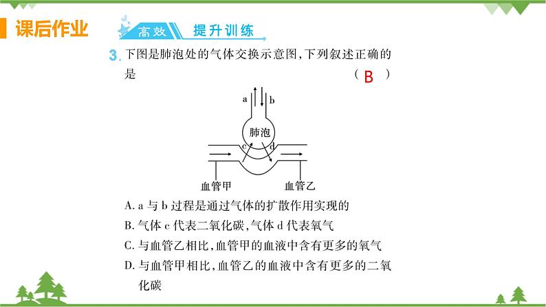 4.3.2  《发生在肺内的气体交换》课件+教案+预习作业（含答案）+教材习题+习题课件04