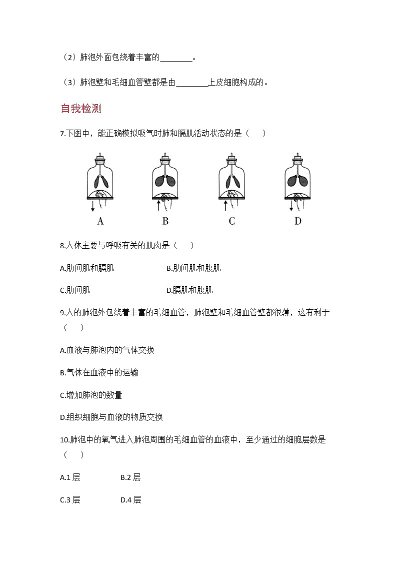 4.3.2  《发生在肺内的气体交换》课件+教案+预习作业（含答案）+教材习题+习题课件02
