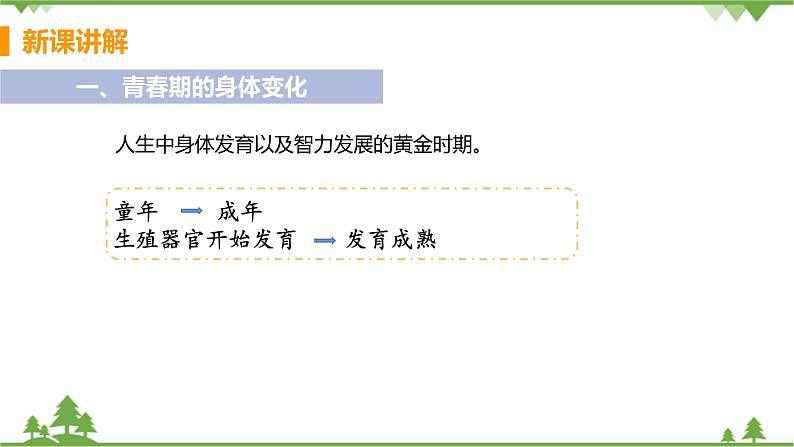 4.1.3  《青春期 》课件+教案+预习作业（含答案）+教材习题+习题课件05