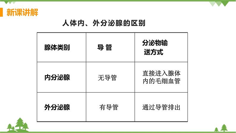 4.6.4 《激素调节》 课件+教案+预习作业（含答案）+教材习题+习题课件06