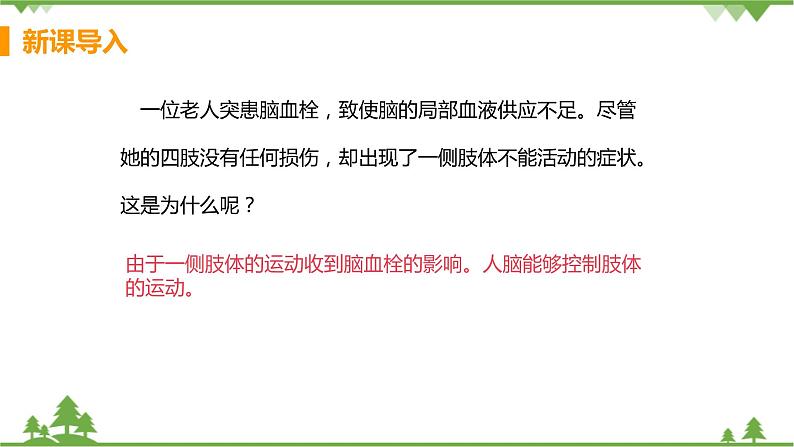 4.6.2 《神经系统的组成 》课件+教案+预习作业（含答案）+教材习题+习题课件04