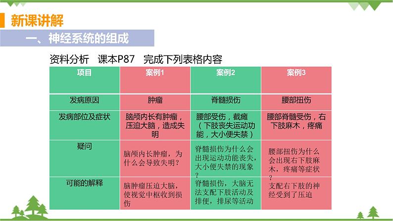 4.6.2 《神经系统的组成 》课件+教案+预习作业（含答案）+教材习题+习题课件05