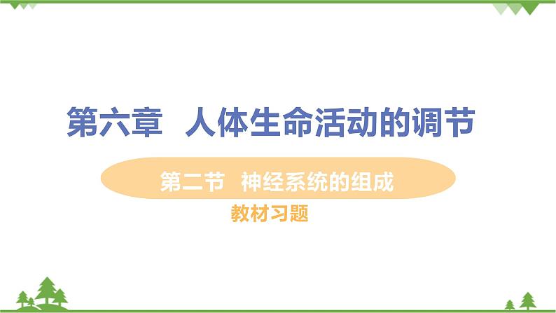 4.6.2 《神经系统的组成 》课件+教案+预习作业（含答案）+教材习题+习题课件01