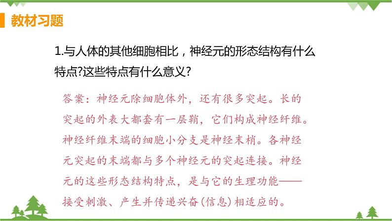 4.6.2 《神经系统的组成 》课件+教案+预习作业（含答案）+教材习题+习题课件02