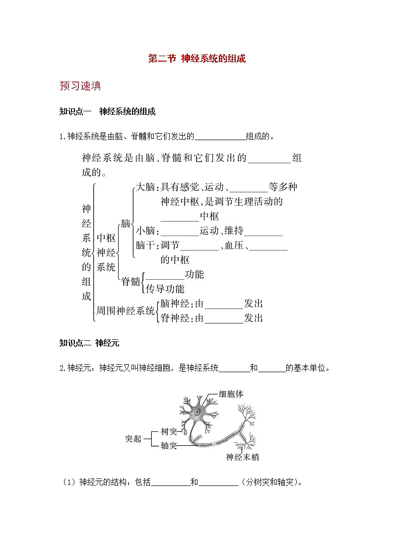 4.6.2 《神经系统的组成 》课件+教案+预习作业（含答案）+教材习题+习题课件01