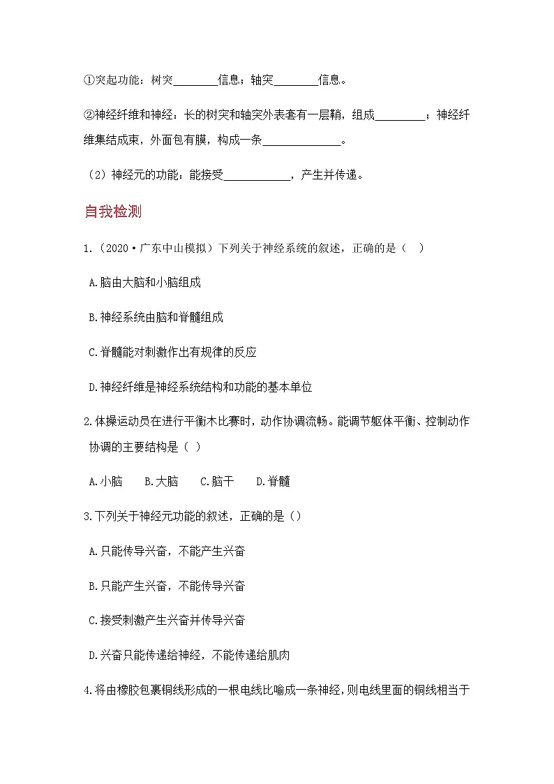 4.6.2 《神经系统的组成 》课件+教案+预习作业（含答案）+教材习题+习题课件02