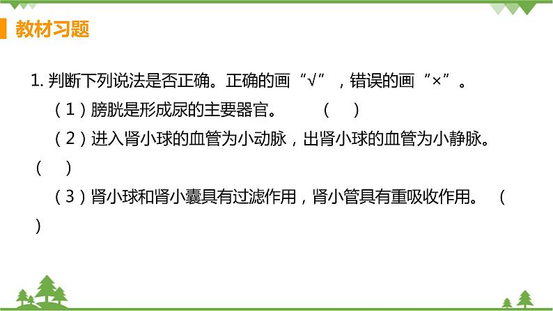 4.5  《人体内废物的排出》 课件+教案+预习作业（含答案）+教材习题+习题课件02