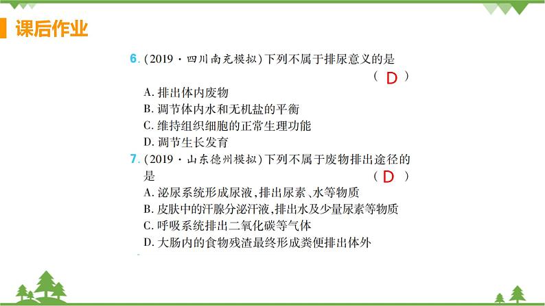 4.5  《人体内废物的排出》 课件+教案+预习作业（含答案）+教材习题+习题课件04