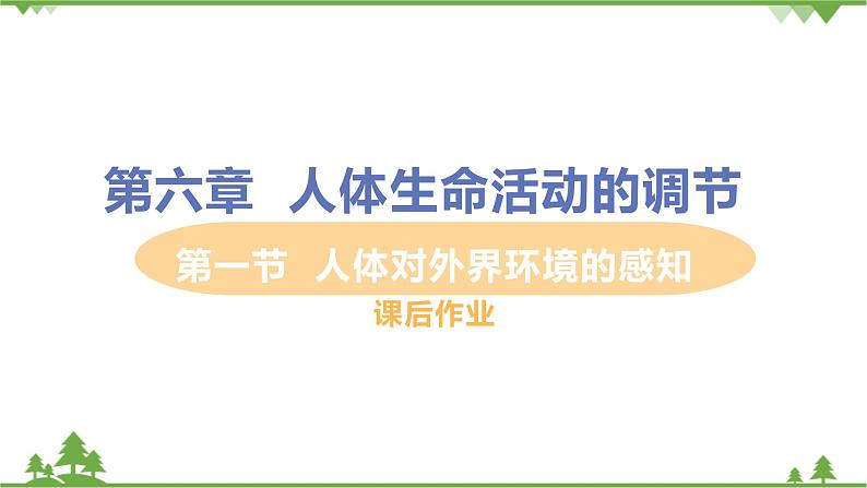4.6.1 《人体对外界环境的感知 》课件+教案+预习作业（含答案）+教材习题+习题课件01