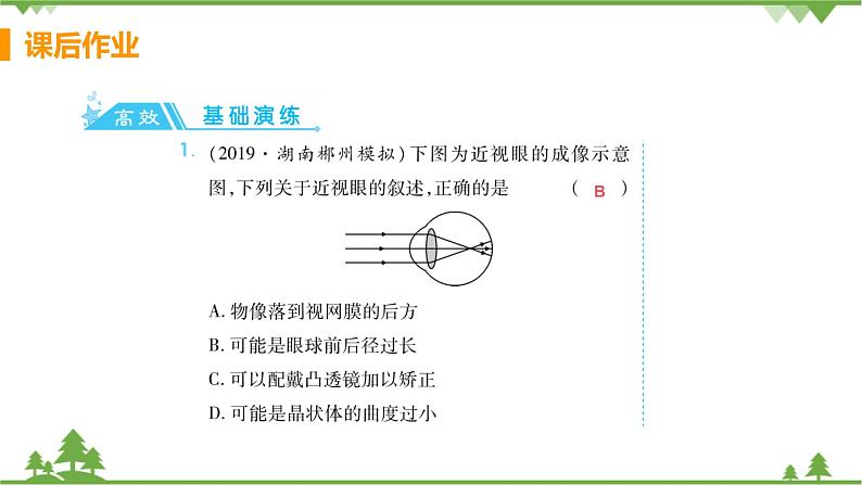 4.6.1 《人体对外界环境的感知 》课件+教案+预习作业（含答案）+教材习题+习题课件02
