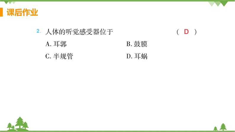 4.6.1 《人体对外界环境的感知 》课件+教案+预习作业（含答案）+教材习题+习题课件03