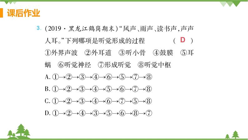 4.6.1 《人体对外界环境的感知 》课件+教案+预习作业（含答案）+教材习题+习题课件04