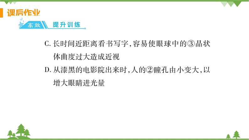 4.6.1 《人体对外界环境的感知 》课件+教案+预习作业（含答案）+教材习题+习题课件06