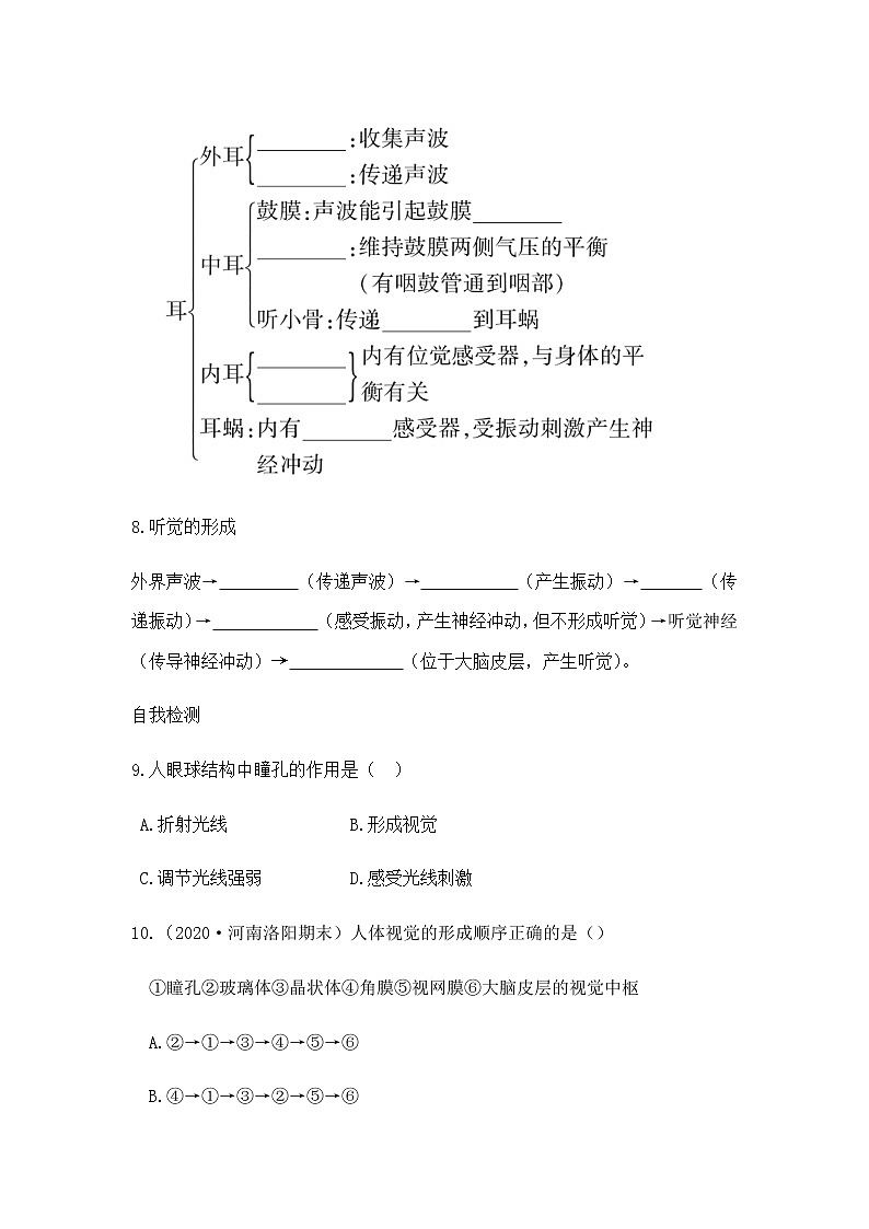 4.6.1 《人体对外界环境的感知 》课件+教案+预习作业（含答案）+教材习题+习题课件03