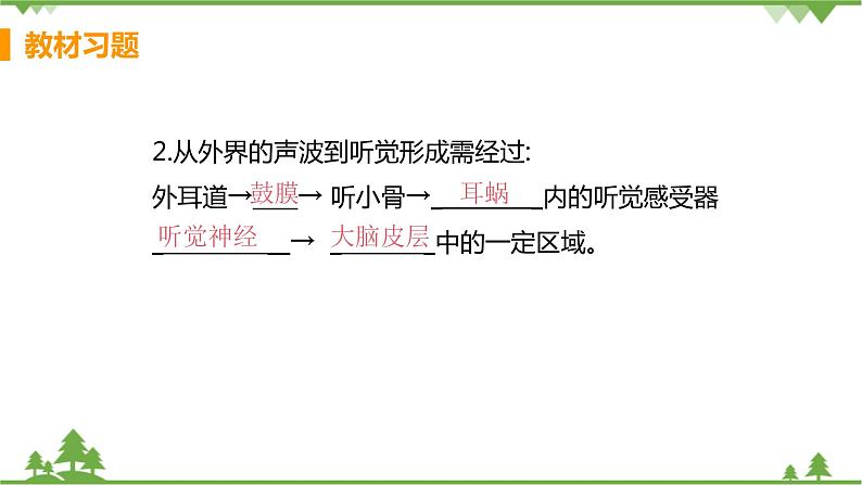 4.6.1 《人体对外界环境的感知 》课件+教案+预习作业（含答案）+教材习题+习题课件03