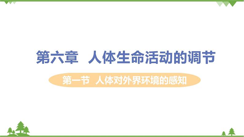 4.6.1 《人体对外界环境的感知 》课件+教案+预习作业（含答案）+教材习题+习题课件01