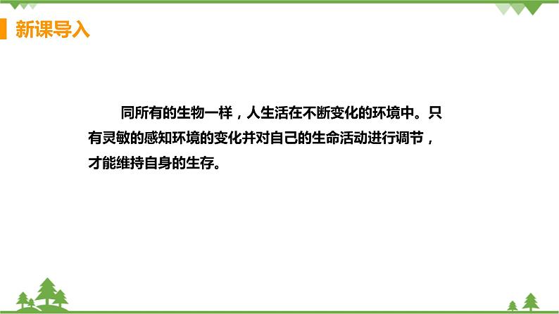 4.6.1 《人体对外界环境的感知 》课件+教案+预习作业（含答案）+教材习题+习题课件05