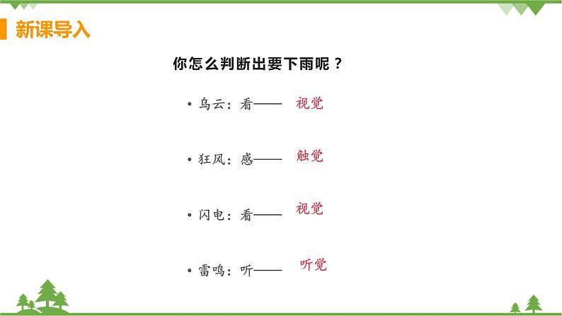 4.6.1 《人体对外界环境的感知 》课件+教案+预习作业（含答案）+教材习题+习题课件06