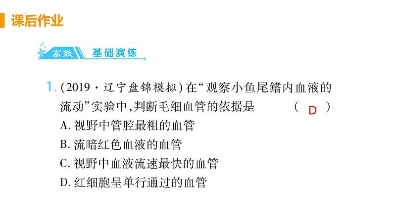 4.4.2  《血流的管道——血管》课件+教案+预习作业（含答案）+教材习题+习题课件02