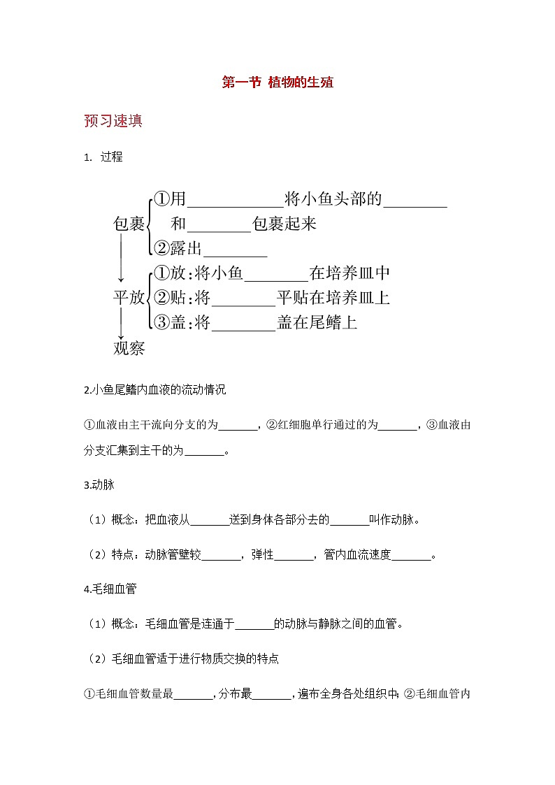 4.4.2  《血流的管道——血管》课件+教案+预习作业（含答案）+教材习题+习题课件01