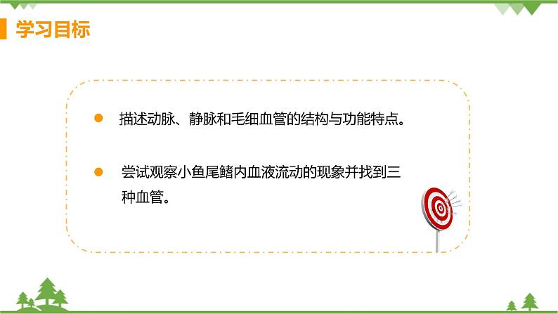 4.4.2  《血流的管道——血管》课件+教案+预习作业（含答案）+教材习题+习题课件03