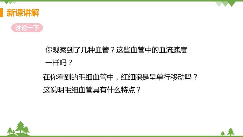 4.4.2  《血流的管道——血管》课件+教案+预习作业（含答案）+教材习题+习题课件07