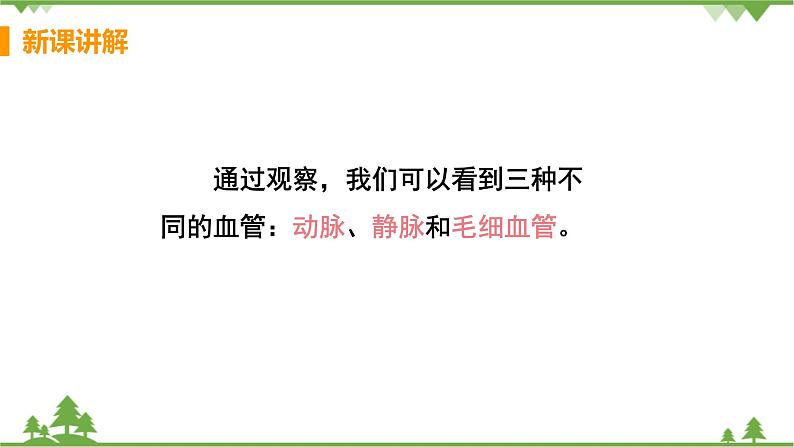 4.4.2  《血流的管道——血管》课件+教案+预习作业（含答案）+教材习题+习题课件08