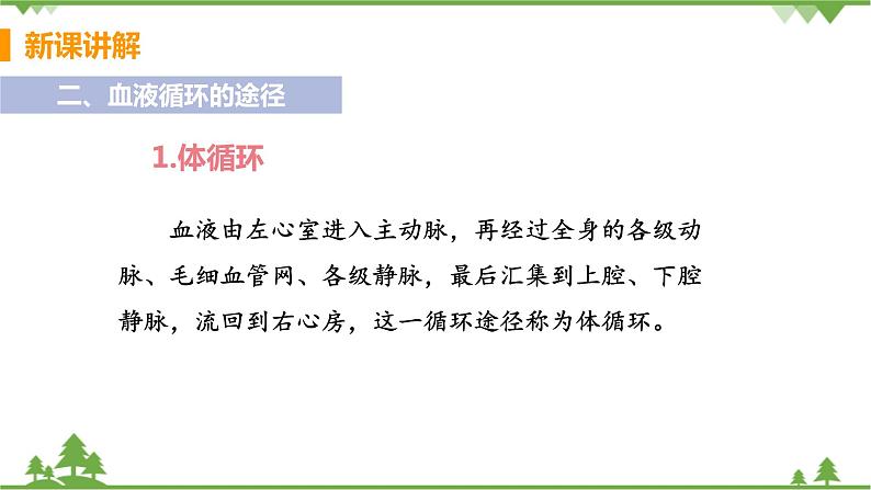 4.4.3 《 输送血液的泵——心脏》 课件+教案+预习作业（含答案）+教材习题+习题课件07