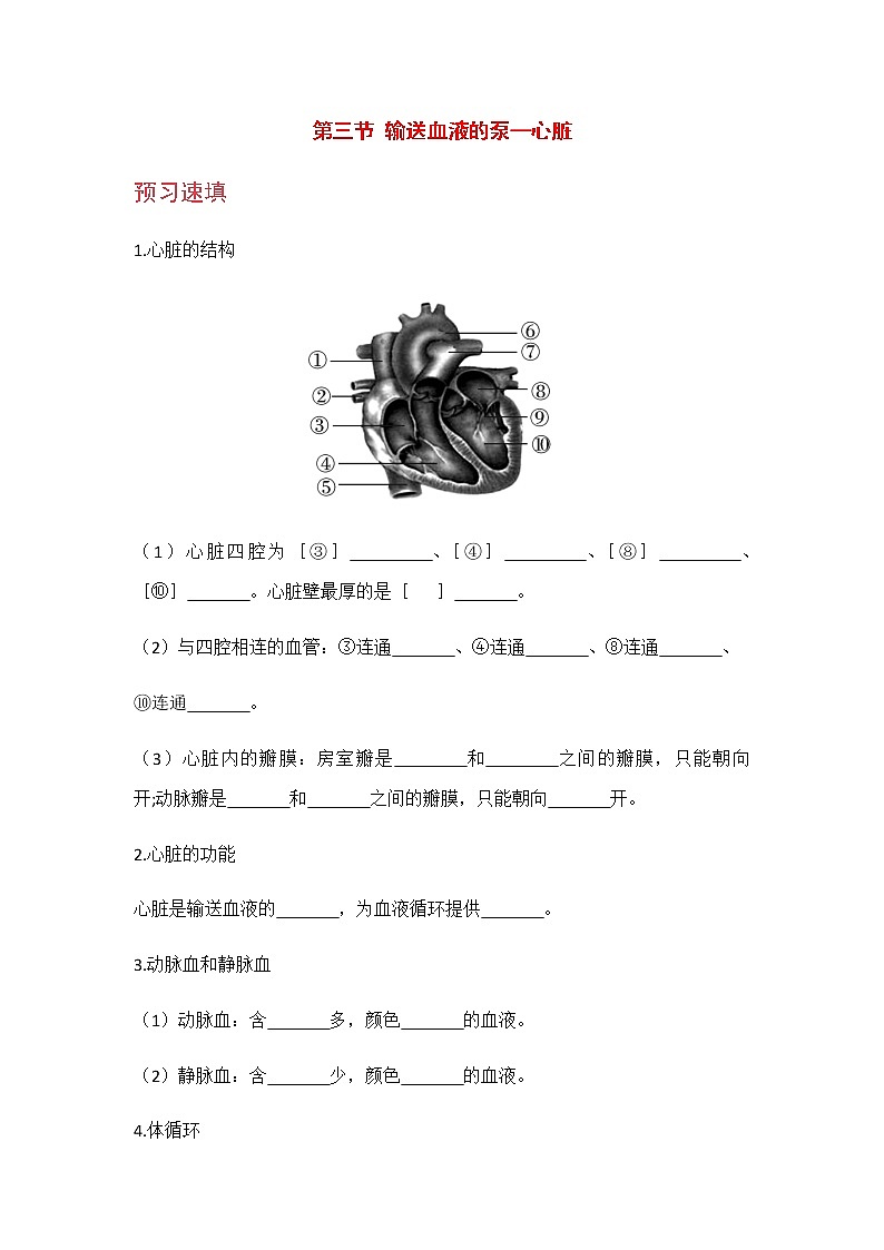 4.4.3 《 输送血液的泵——心脏》 课件+教案+预习作业（含答案）+教材习题+习题课件01