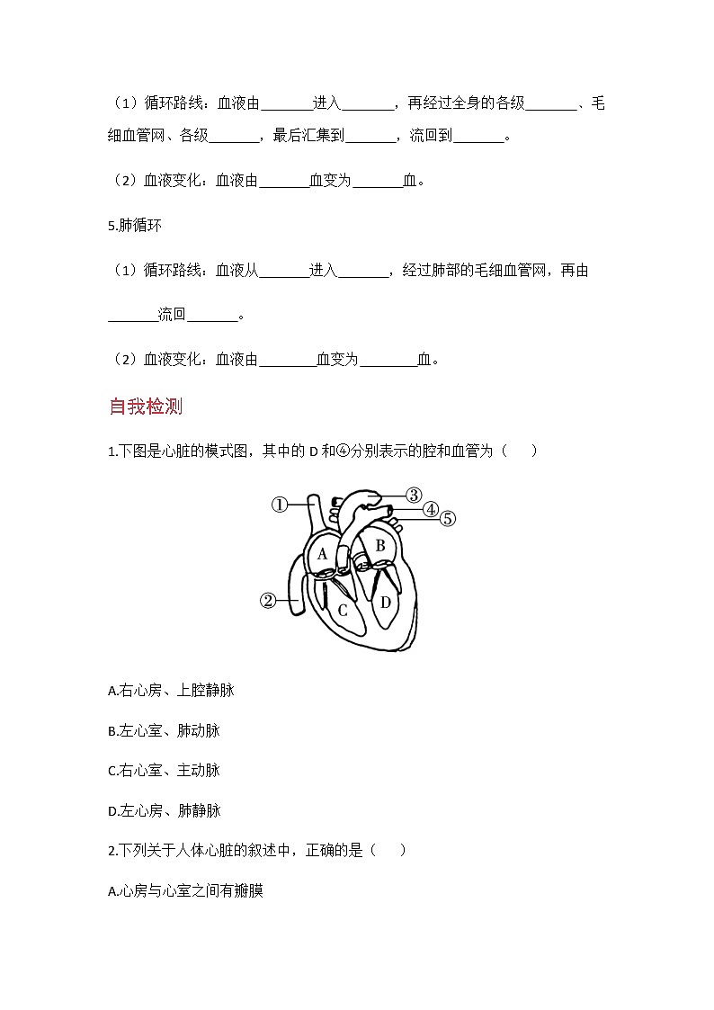 4.4.3 《 输送血液的泵——心脏》 课件+教案+预习作业（含答案）+教材习题+习题课件02