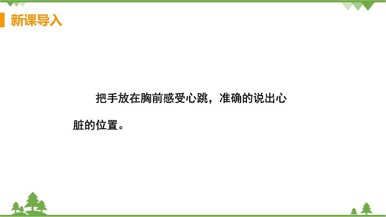 4.4.3 《 输送血液的泵——心脏》 课件+教案+预习作业（含答案）+教材习题+习题课件04