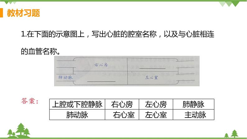 4.4.3 《 输送血液的泵——心脏》 课件+教案+预习作业（含答案）+教材习题+习题课件02