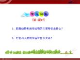 第5单元 第1章 第1节 腔肠动物和扁形动物PPT课件