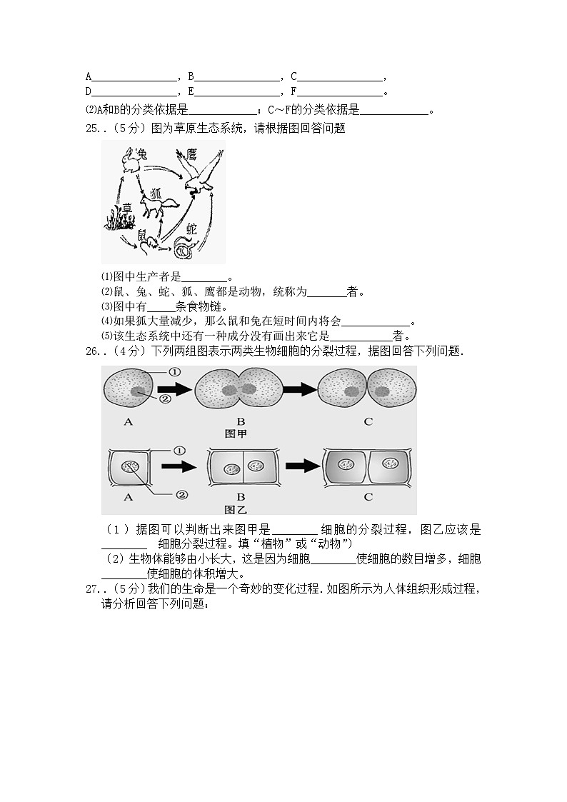 人教版七年级上学期期末质量检测生物试题共4套含答案03