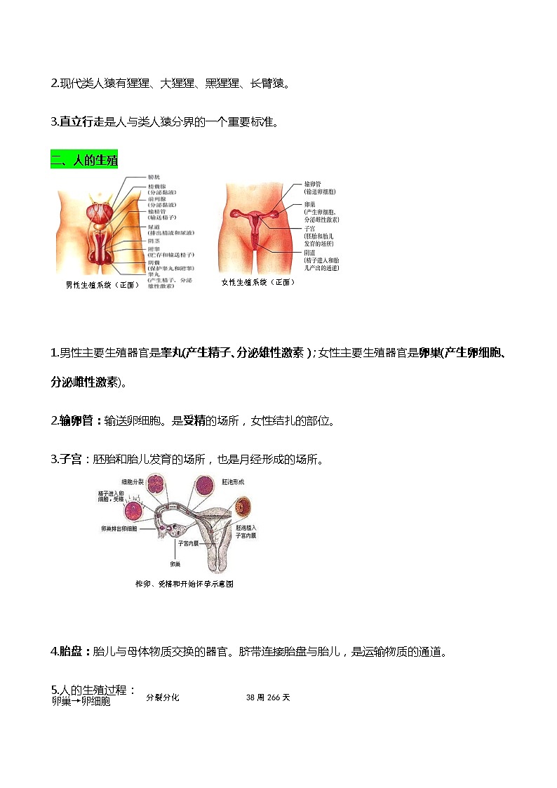 初一下册生物每章思维导图+精华知识03