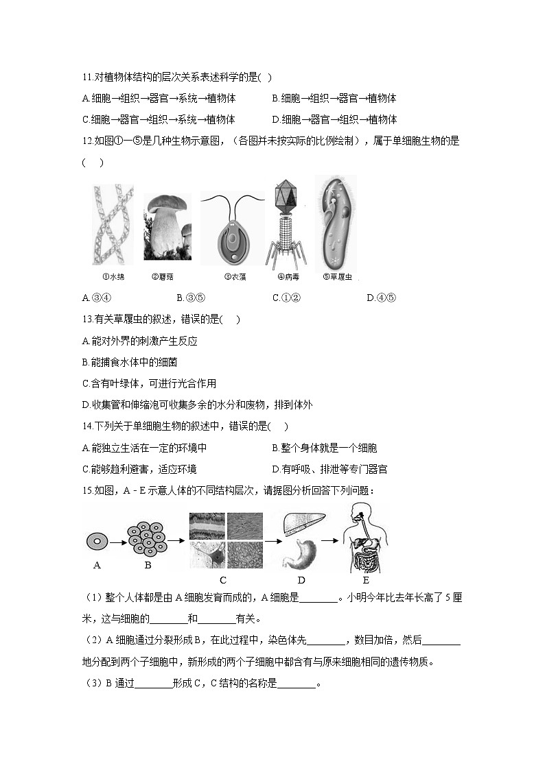 2020-2021学年七年级上册生物人教版期末复习单元知识检测 第二单元 第二章细胞怎样构成生物体03