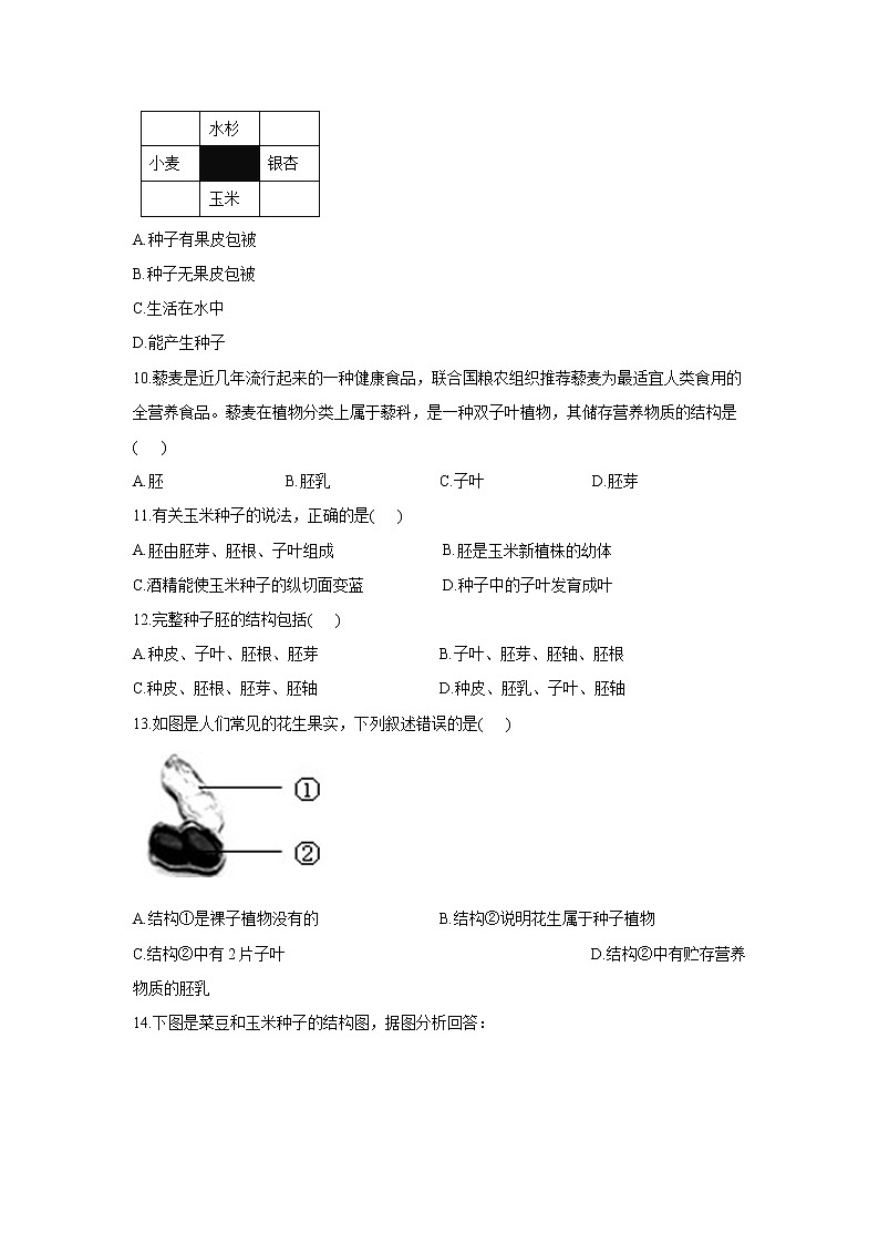 2020-2021学年七年级上册生物人教版期末复习单元知识检测 第三单元 第一章生物圈中有哪些绿色植物第2页