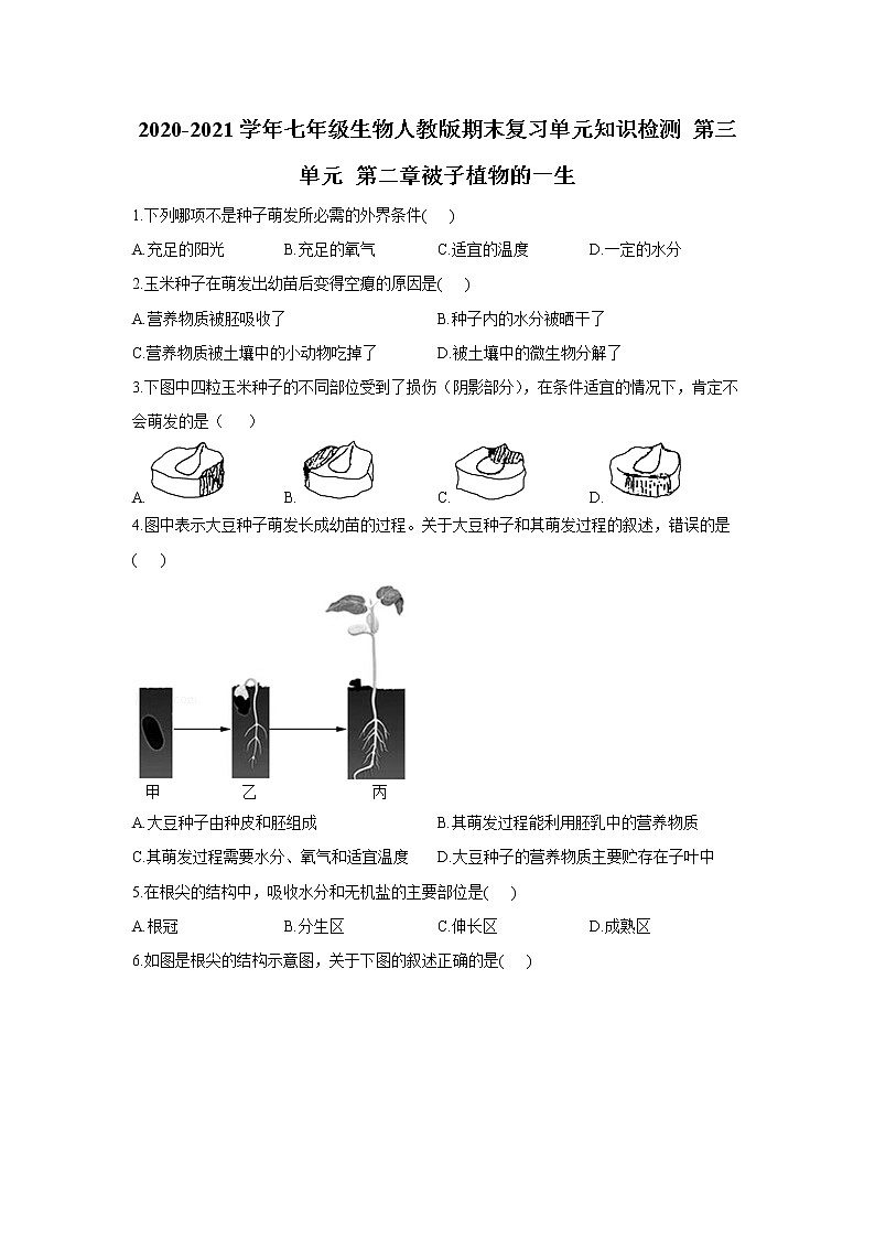2020-2021学年七年级上册生物人教版期末复习单元知识检测 第三单元 第二章被子植物的一生01