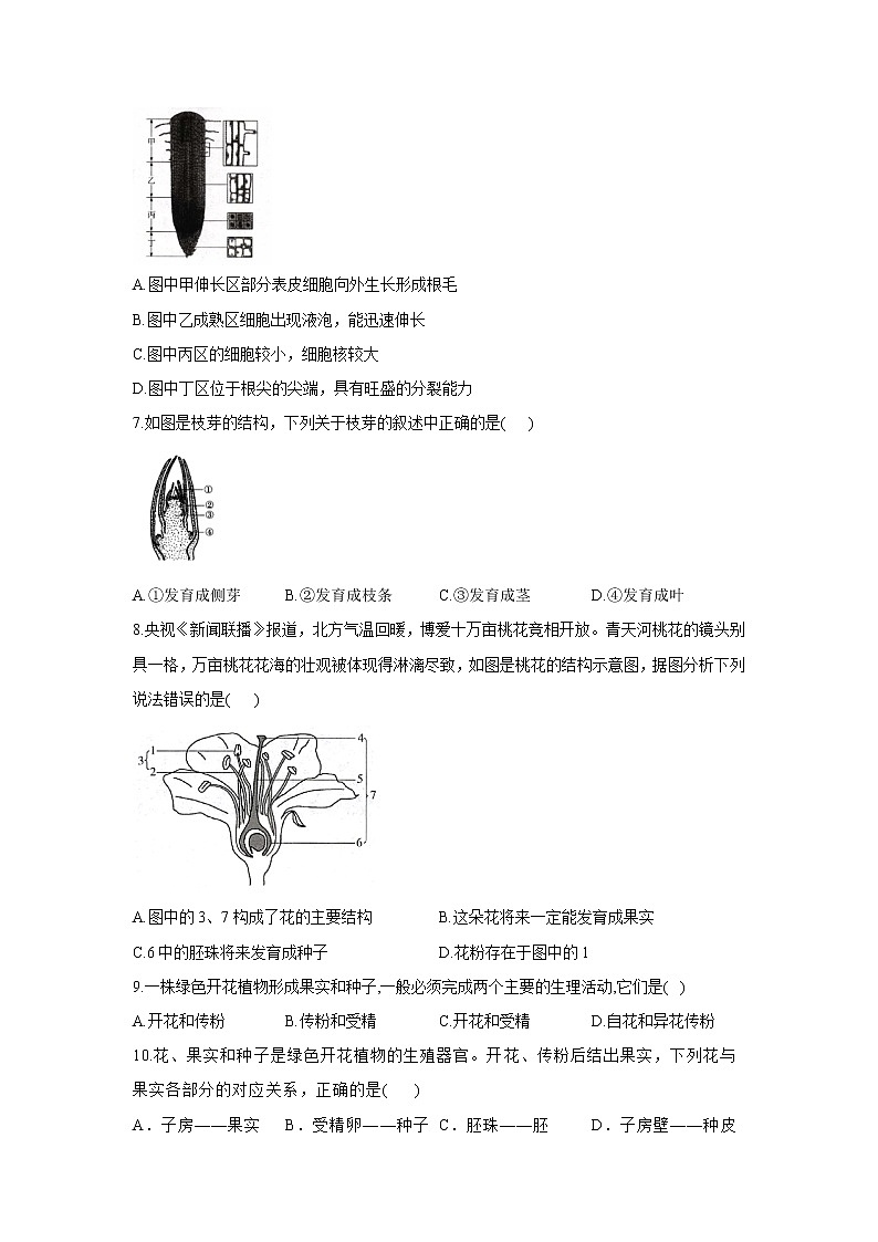 2020-2021学年七年级上册生物人教版期末复习单元知识检测 第三单元 第二章被子植物的一生02
