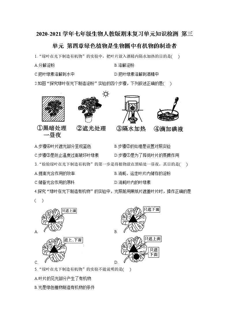 2020-2021学年七年级上册生物人教版期末复习单元知识检测 第三单元 第四章绿色植物是生物圈中有机物的制造者第1页
