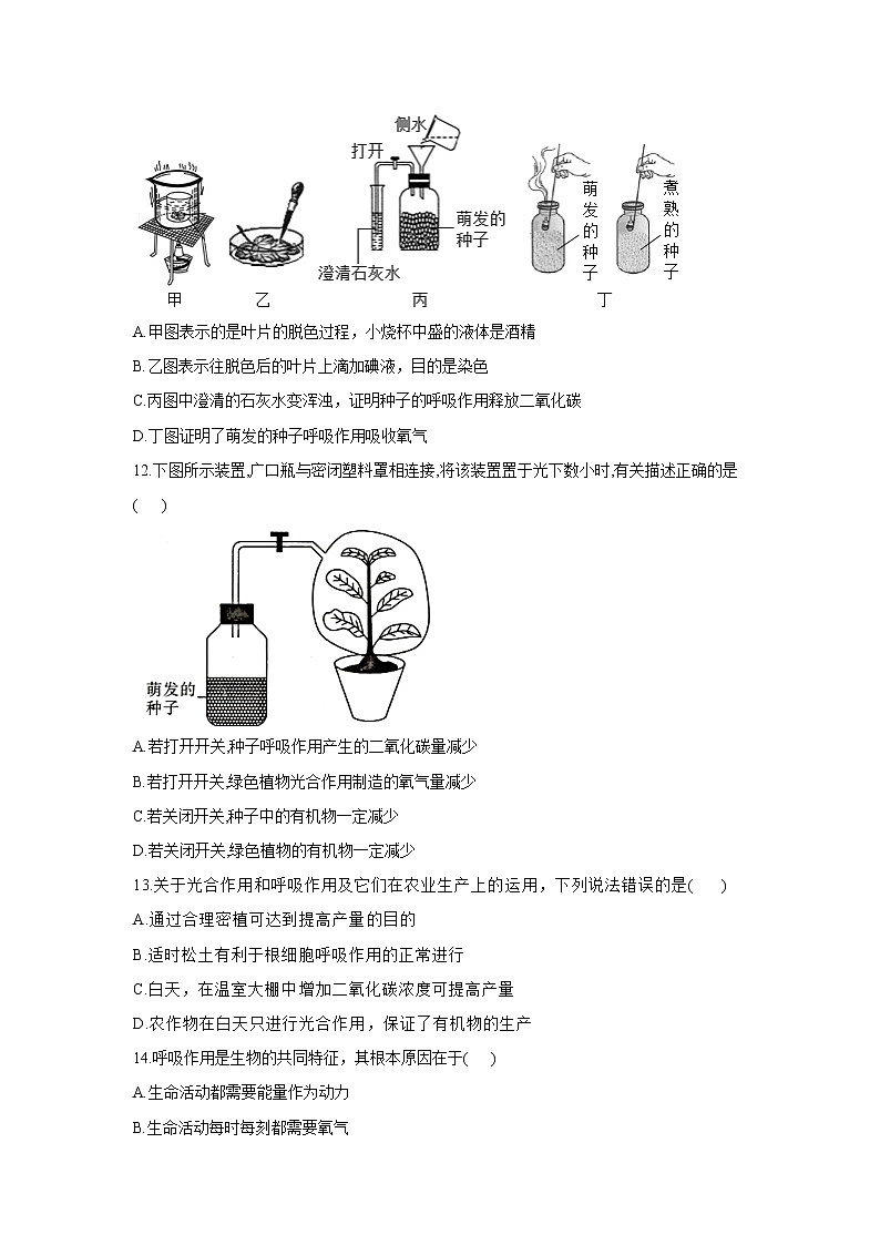 2020-2021学年七年级上册生物人教版期末复习单元知识检测 第三单元 第五章绿色植物与生物圈中的碳-氧平衡03