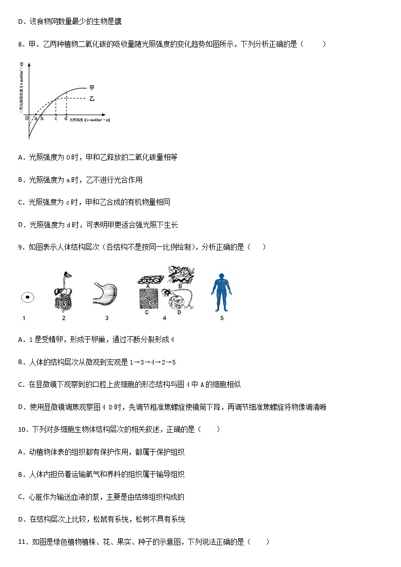 2020-2021学年第一学期平山天阳国际学校 七年级生物上册 期末复习题（三）03
