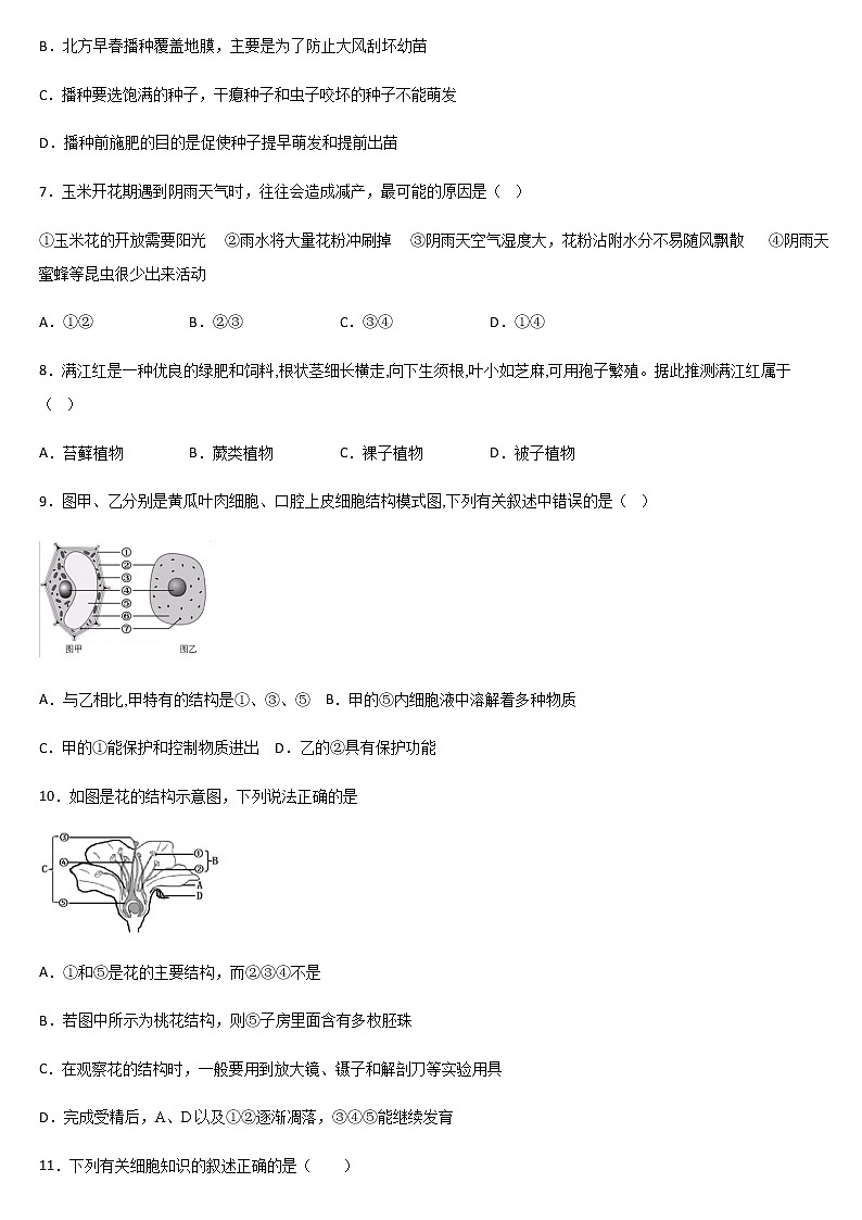 2020-2021学年第一学期平山天阳国际学校 七年级生物上册 期末复习题（六）03