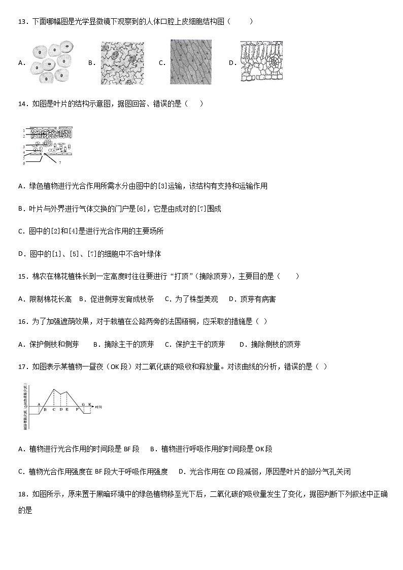 2020-2021学年第一学期平山天阳国际学校 七年级生物上册 期末复习题（七）03