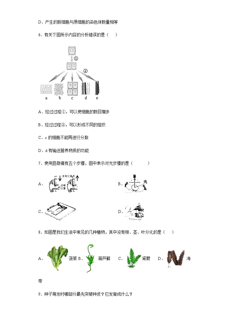 平山外国语中学2020--2021学年第一学期七年级期末考试生物模拟试题02